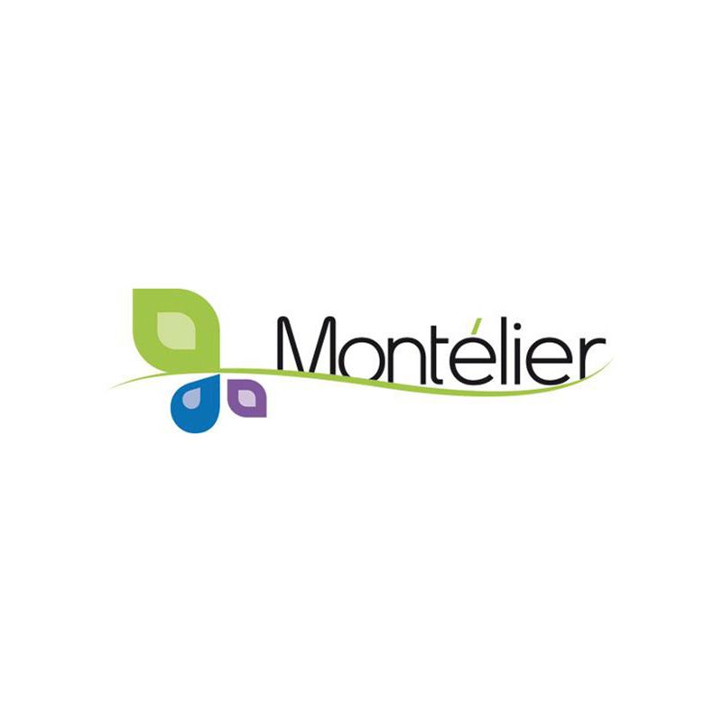 Logo de la commune de Montélier